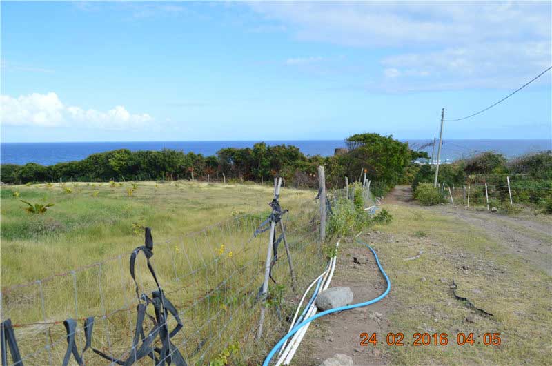 30 acre land for sale in Nevis