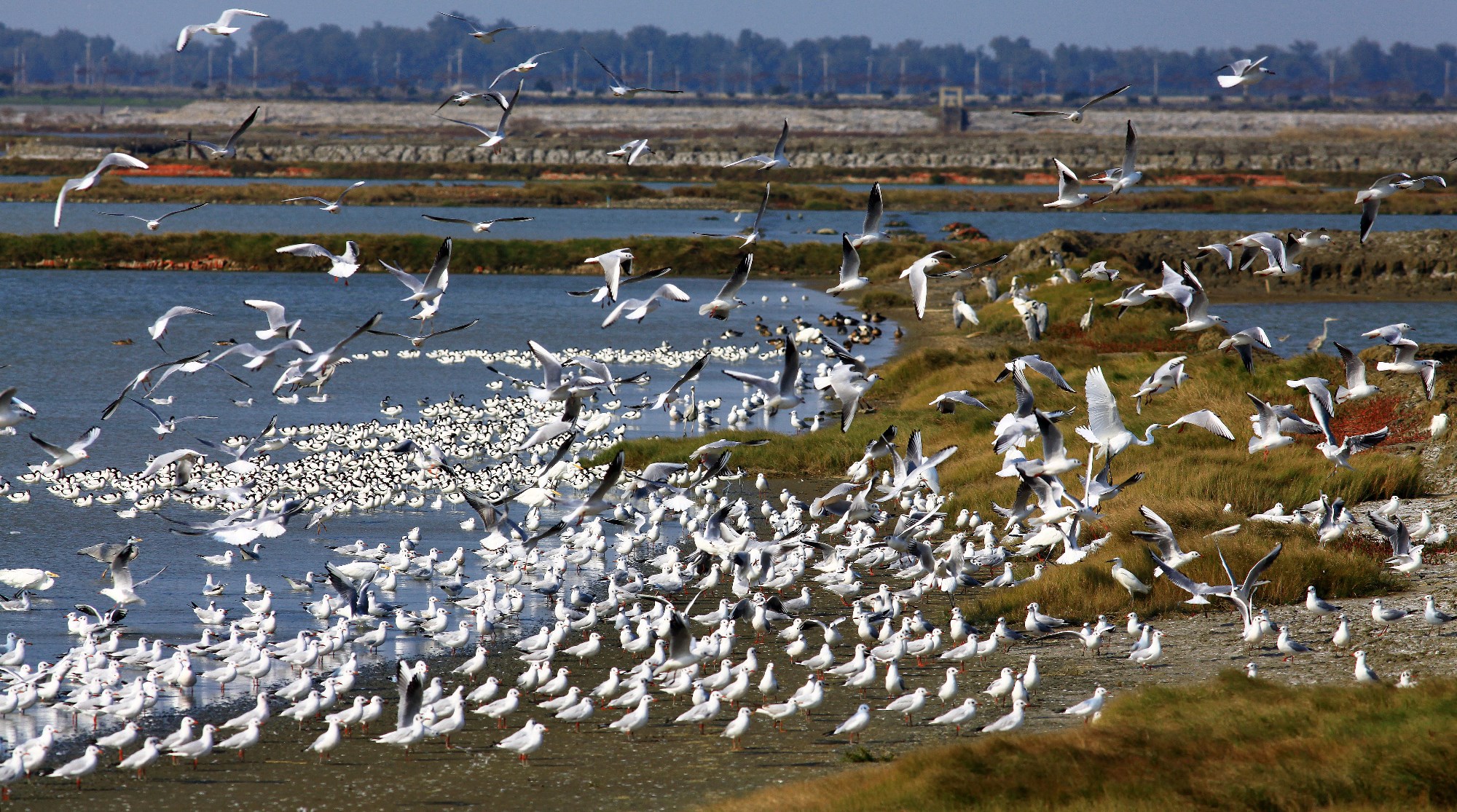 Yunjianan Binhai National Scenic Area