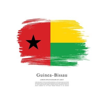 Remind Chinese citizens not to apply for a Guinea-Bissau passport illegally