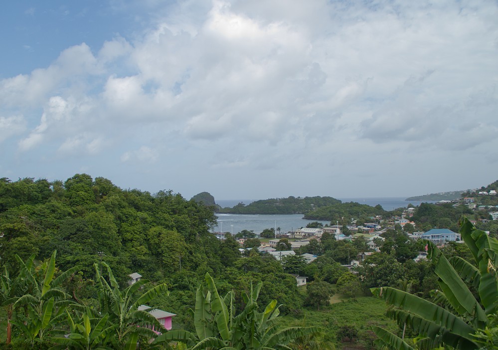 Saint Vincent and the Grenadines Commodities Price and Medicine