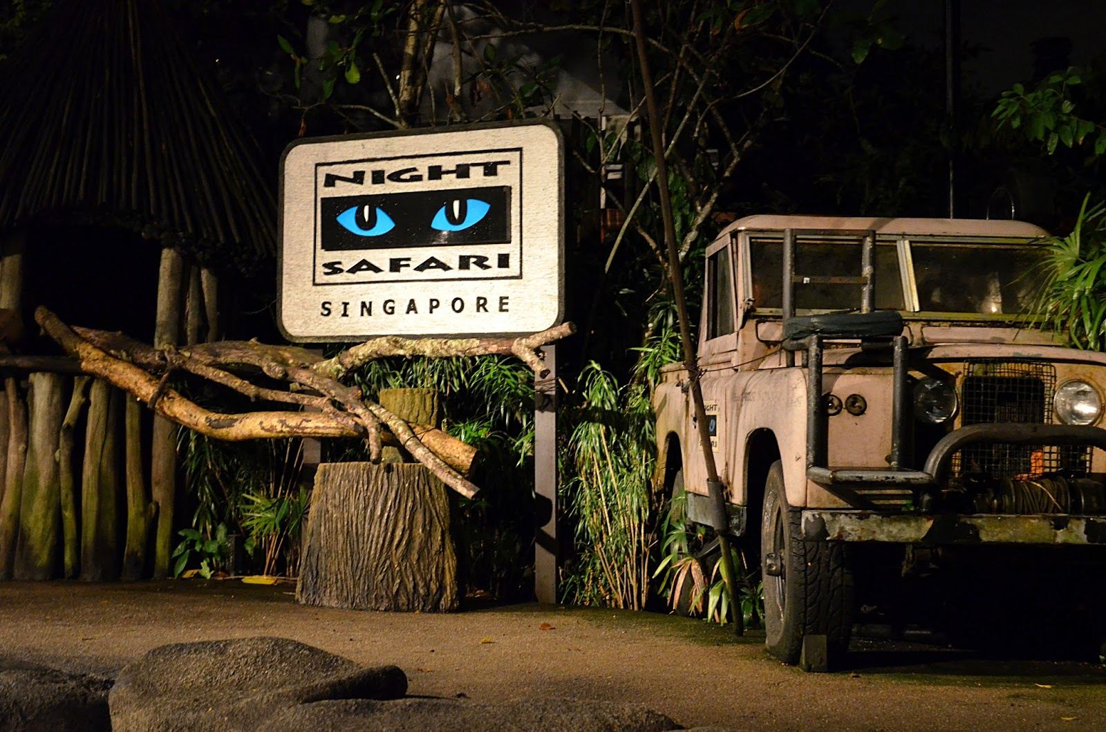 NIGHT SAFARI