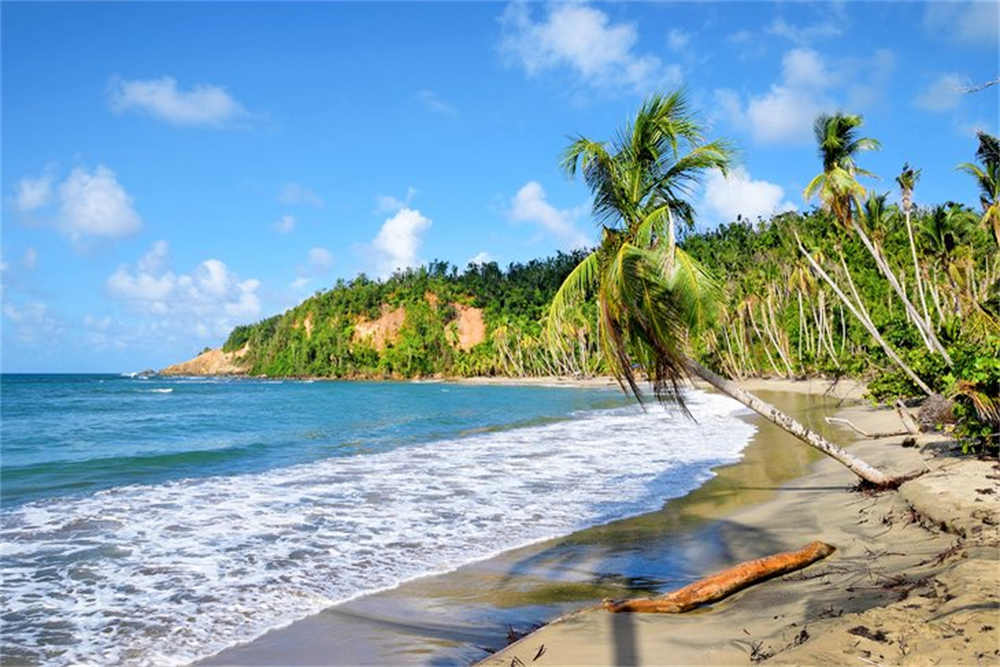 Dominica Beaches