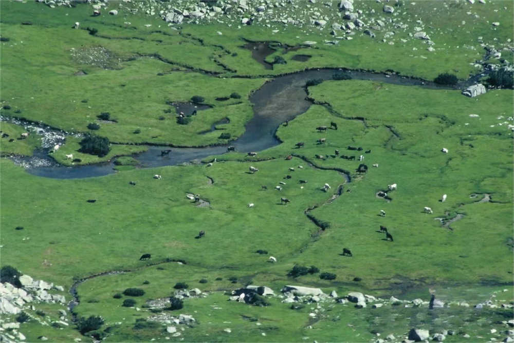 Pirin National Park