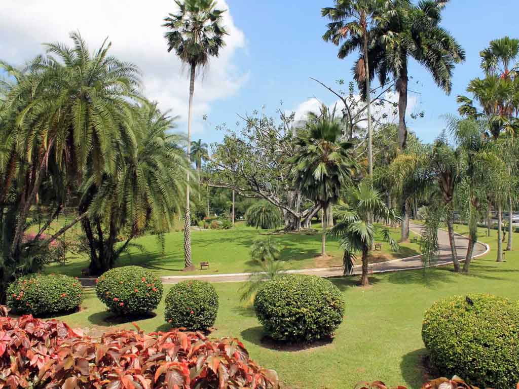 特立尼達皇家植物園