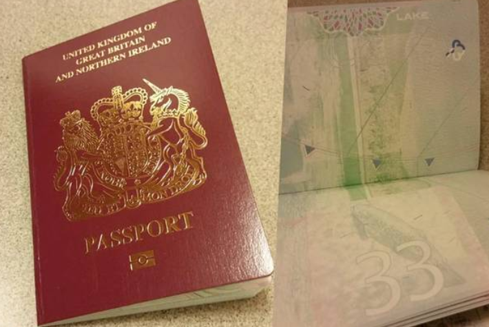 【港版國安法】英國公佈BNO港人入籍方法　持有人家屬都合資格！