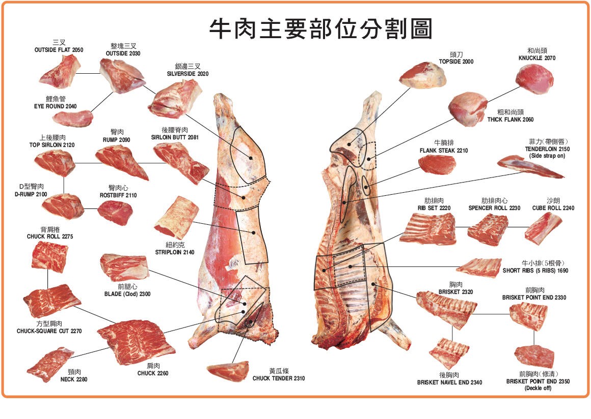 牛肉詳細切割圖