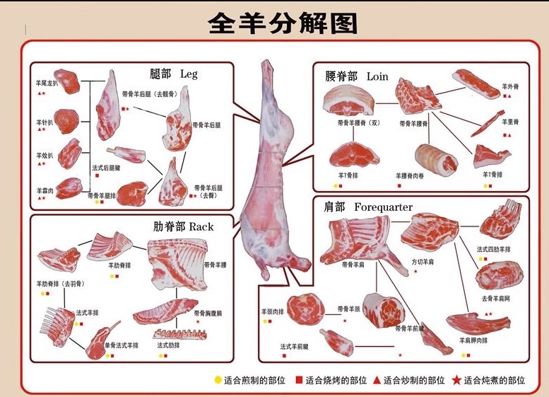 羊肉詳細切割圖