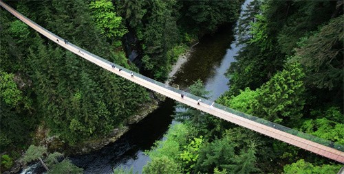 Capilano Suspension Bridge and Park