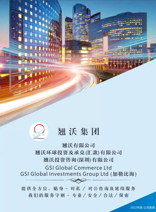 GSI中文畫冊--2022